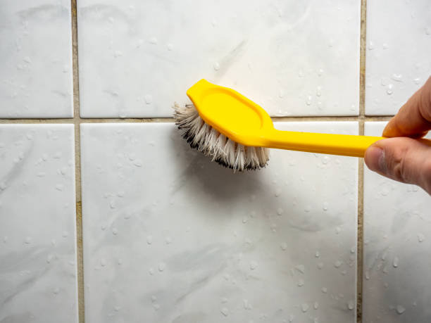  Trenton, MI Mold Removal Pros