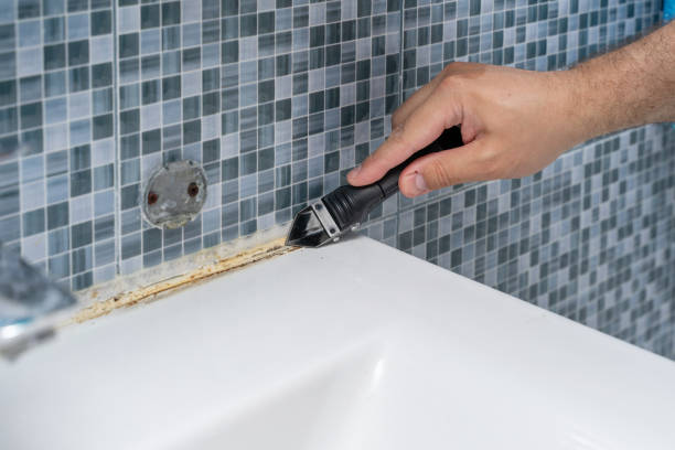 Best Office Mold Removal Services  in Trenton, MI