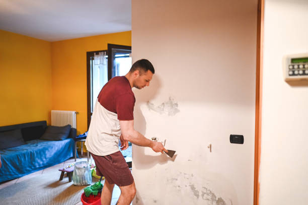 Best Commercial Mold Removal  in Trenton, MI